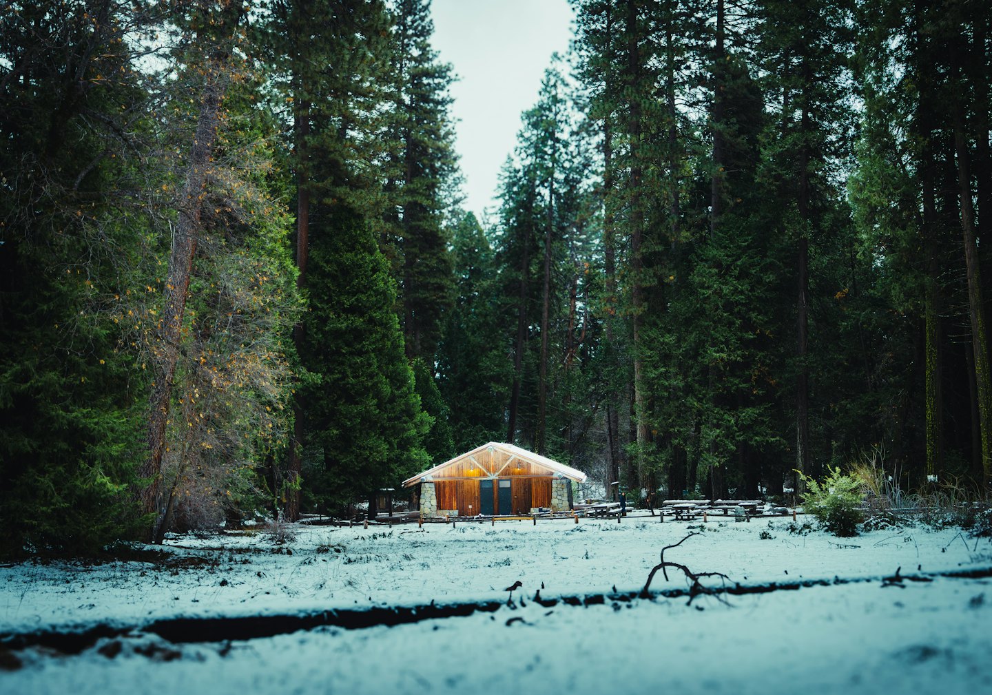 Rustik stuga i en snötäckt glänta i en tallskog.