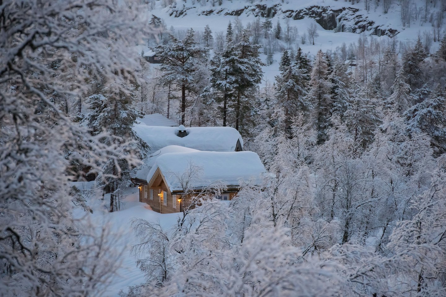 Två snöiga trähus inbäddade bland träd i en vinterskog.